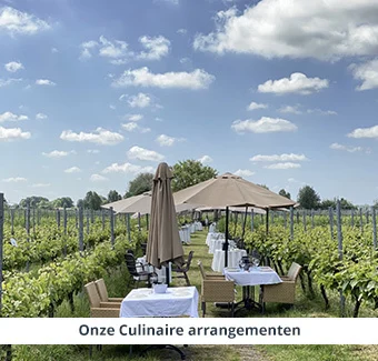 Trouwen op een wijngaard