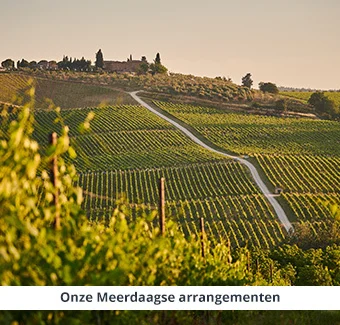 Meerdaagse wijnreizen
