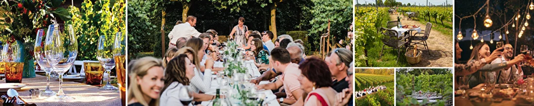 Culinaire wijntoer